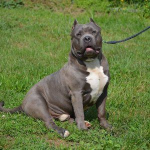 Meet your Posher, Teresa